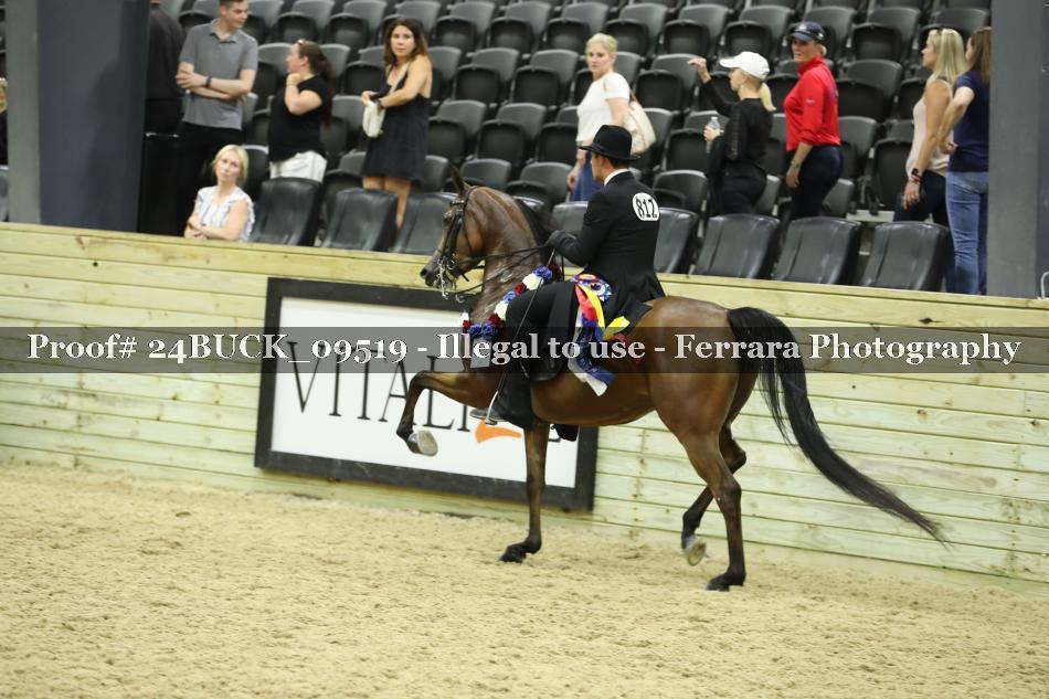 Proof 24BUCK_09519