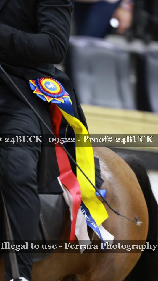 Proof 24BUCK_09522