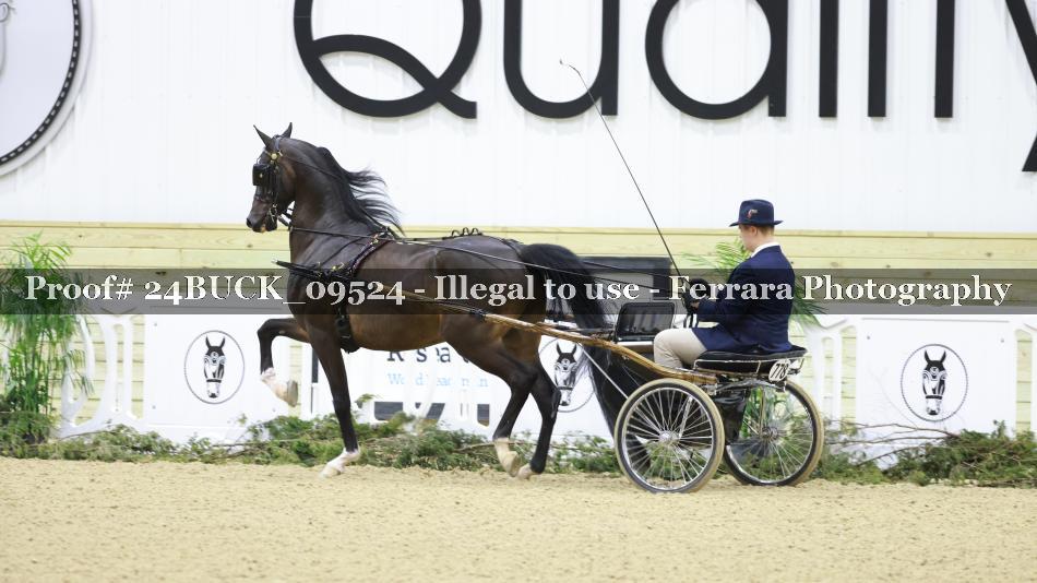 Proof 24BUCK_09524