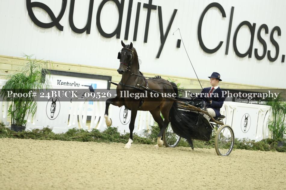 Proof 24BUCK_09526