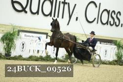 24BUCK_09526 proof