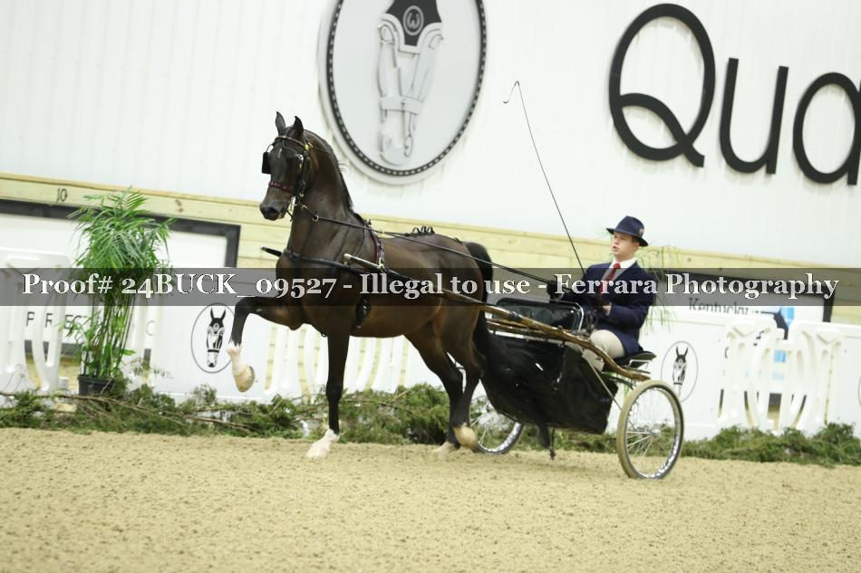Proof 24BUCK_09527