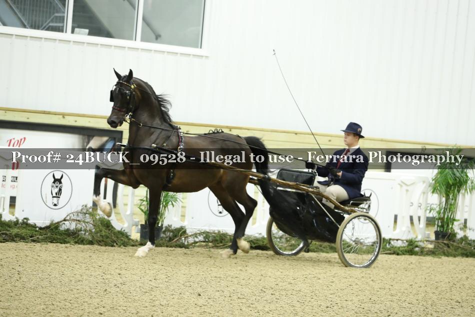 Proof 24BUCK_09528