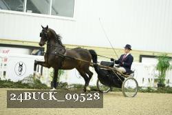 24BUCK_09528 proof