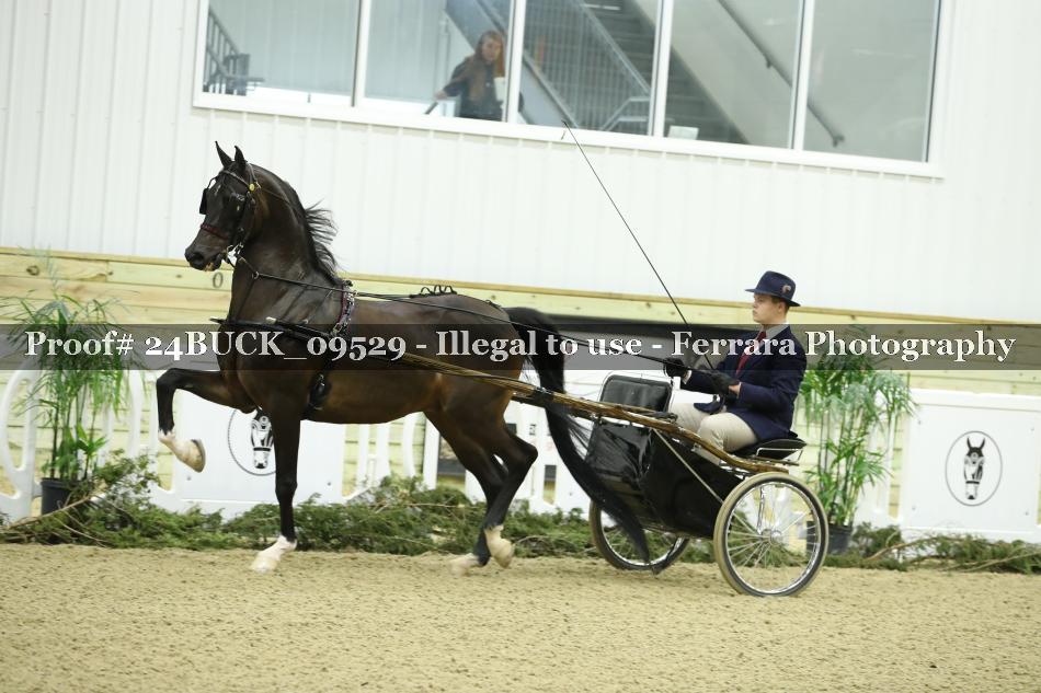 Proof 24BUCK_09529