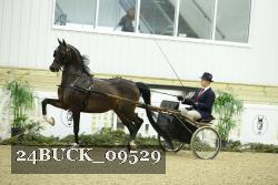 24BUCK_09529 proof