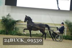 24BUCK_09530 proof