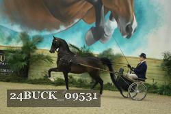 24BUCK_09531 proof