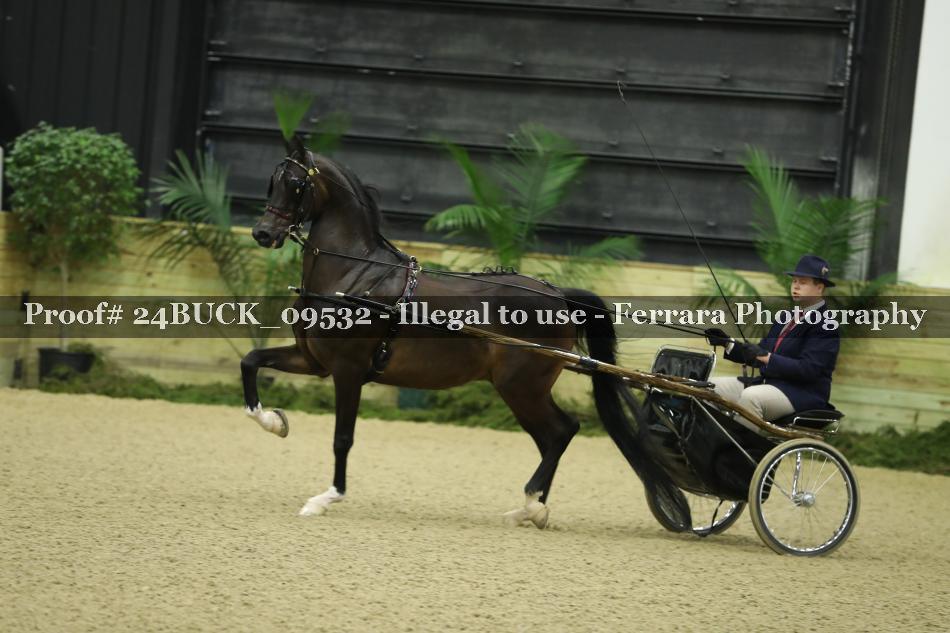 Proof 24BUCK_09532