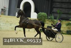 24BUCK_09533 proof
