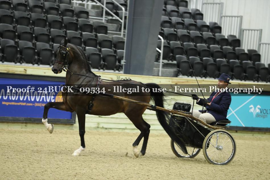 Proof 24BUCK_09534
