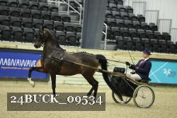 24BUCK_09534 proof