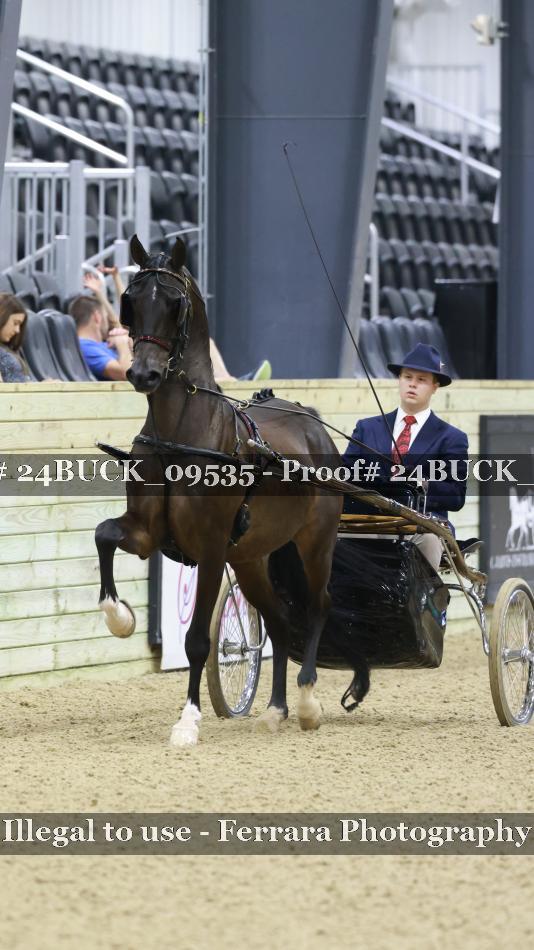 Proof 24BUCK_09535
