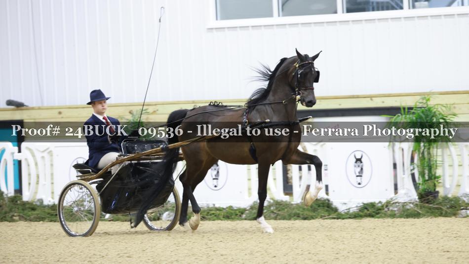 Proof 24BUCK_09536