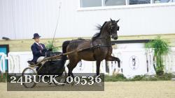 24BUCK_09536 proof