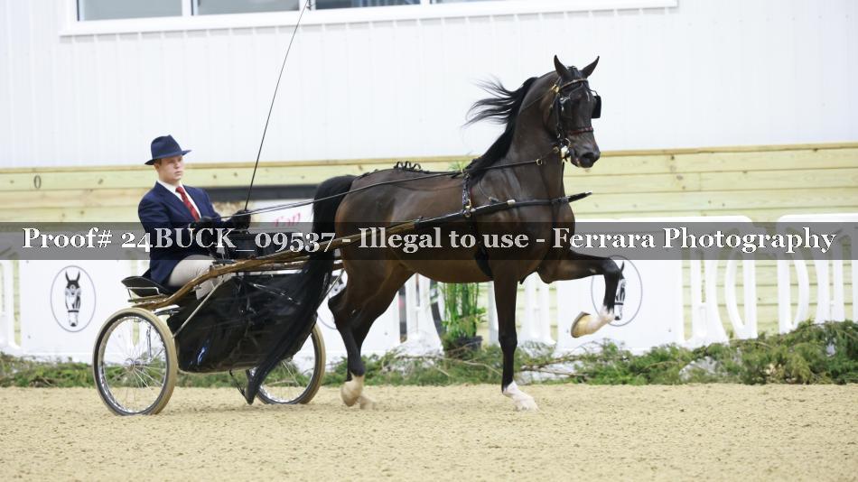 Proof 24BUCK_09537