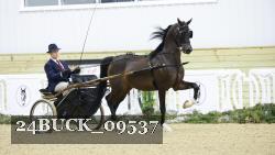 24BUCK_09537 proof