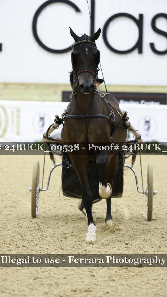 Proof 24BUCK_09538