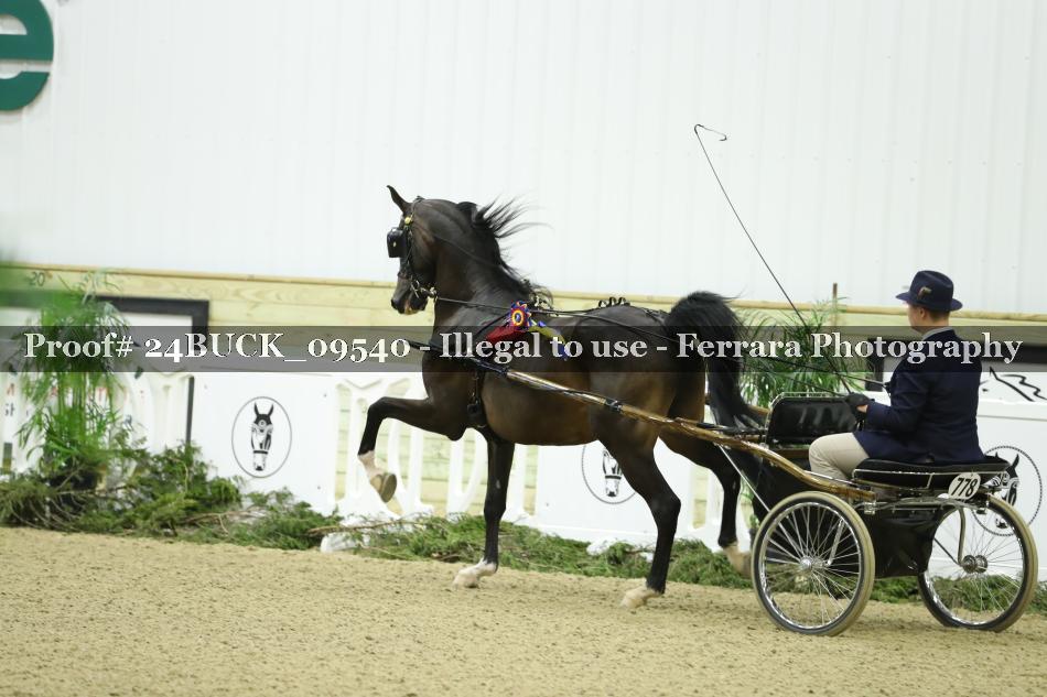 Proof 24BUCK_09540