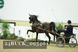 24BUCK_09540 proof
