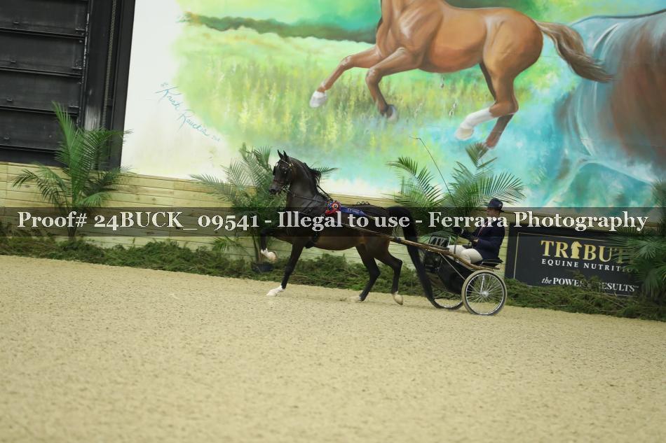 Proof 24BUCK_09541