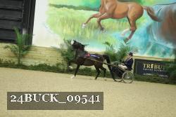 24BUCK_09541 proof