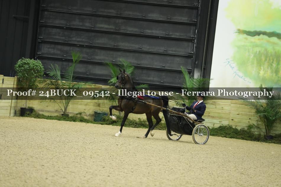 Proof 24BUCK_09542