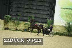 24BUCK_09542 proof