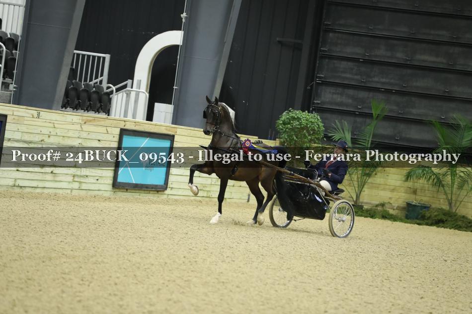 Proof 24BUCK_09543