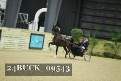 24BUCK_09543 proof
