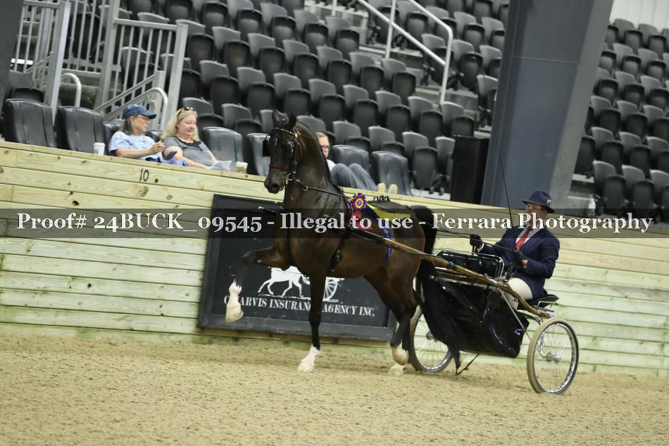 Proof 24BUCK_09545