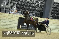 24BUCK_09545 proof