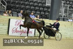 24BUCK_09546 proof