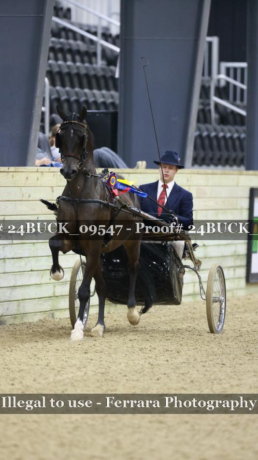 Proof 24BUCK_09547