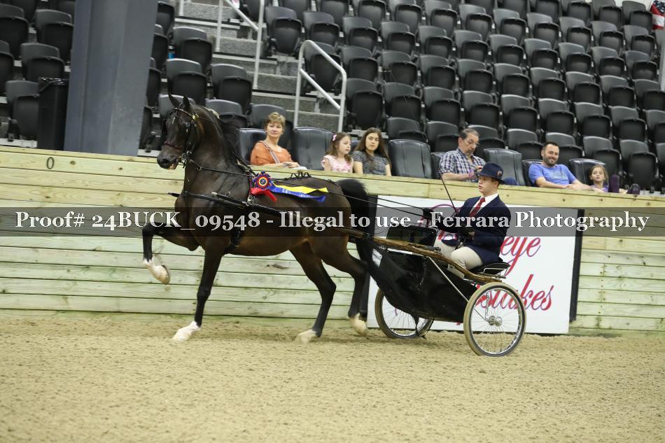 Proof 24BUCK_09548