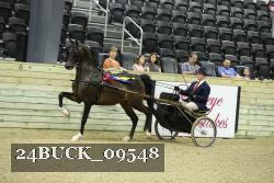 24BUCK_09548 proof
