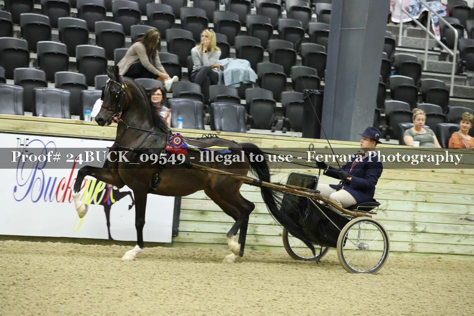 Proof 24BUCK_09549