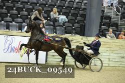 24BUCK_09549 proof