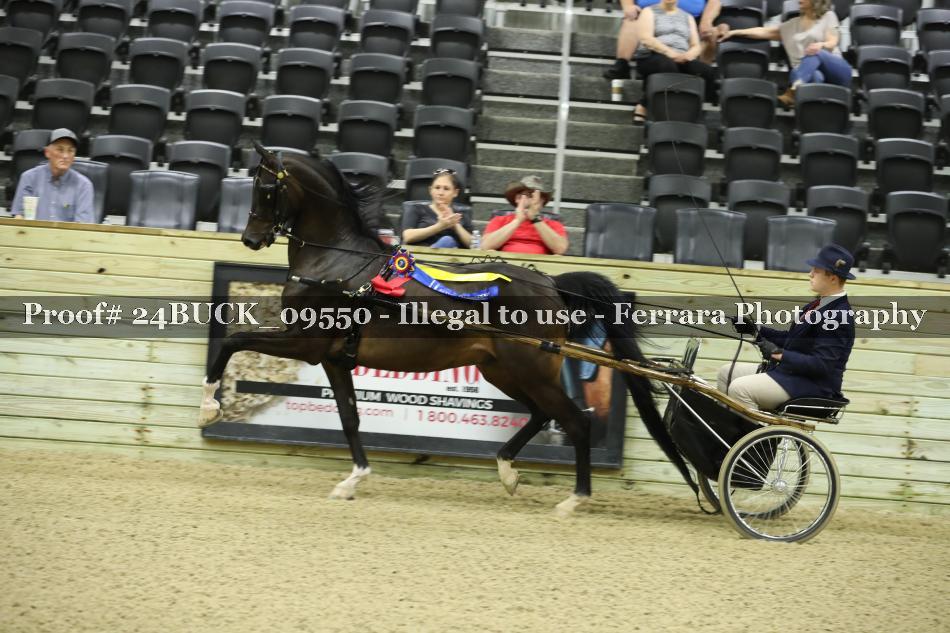 Proof 24BUCK_09550