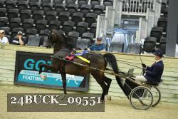 24BUCK_09551 proof