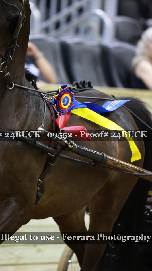 Proof 24BUCK_09552