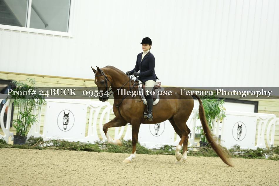 Proof 24BUCK_09554