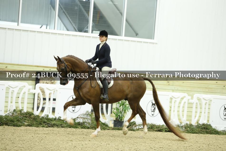 Proof 24BUCK_09555