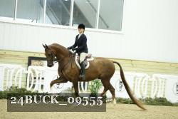 24BUCK_09555 proof