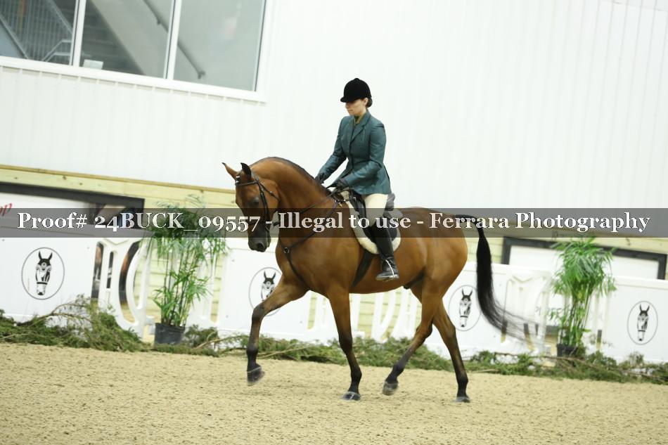 Proof 24BUCK_09557