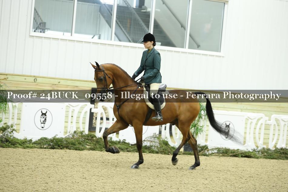 Proof 24BUCK_09558