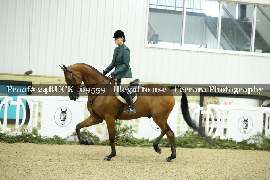 Proof 24BUCK_09559