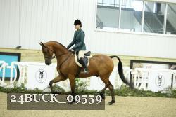 24BUCK_09559 proof
