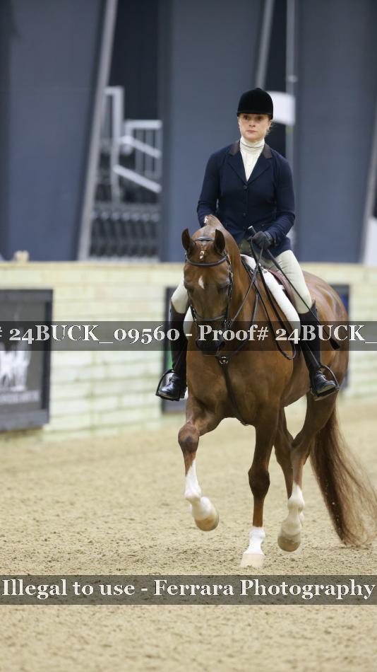 Proof 24BUCK_09560
