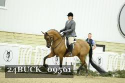 24BUCK_09561 proof